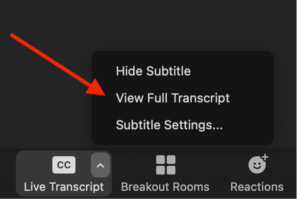 View Full Transcript button