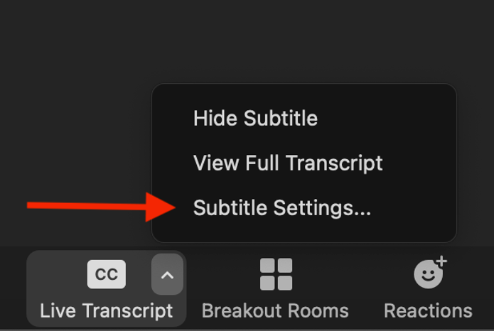 Subtitle settings button.