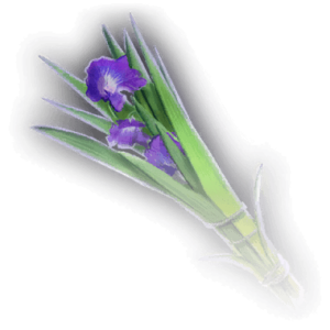 Purple flowers on a green stem