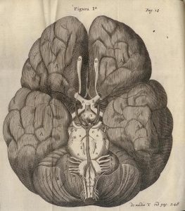 Fig. 1: Thomas Willis, 1667, NLM images