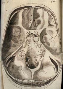 Fig. 5: Plate V, Interior base of the skull showing the vessels about to go out of the skull, Cerebri anatome, 1666. (BBML)