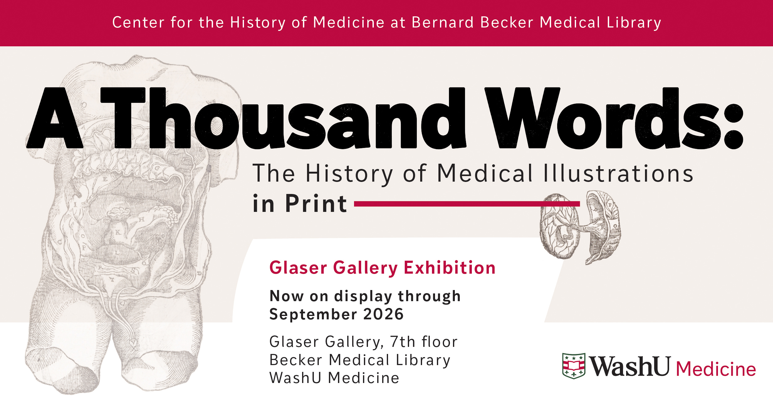 Exhibition banner for "A Thousand Words: The History of Medical Illustrations in Print," on display at Glaser Gallery, Becker Medical Library, WashU Medicine, through September 2026.