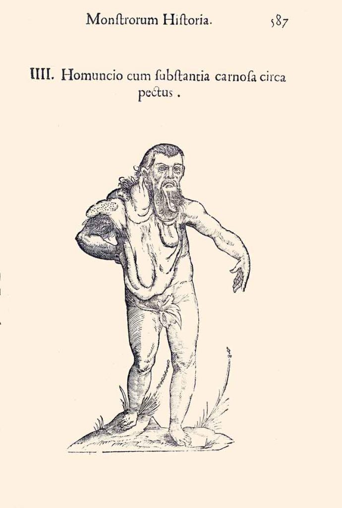 From the Rare Book Collections: Aldrovandi, Ulisse. 1642. ‘Monstrorum ...