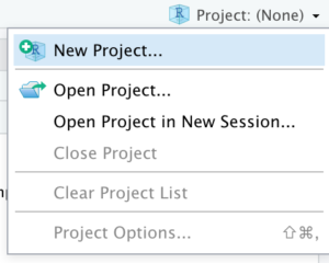 New Project option in the Project menu.