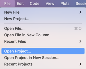 The Open Project option from the file menu.