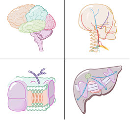 Psychology  ditki medical and biological sciences