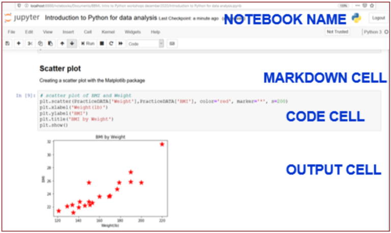 Getting Started with Python Learning Using Jupyter and AI – Becker ...