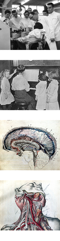 image examples from ARB collections