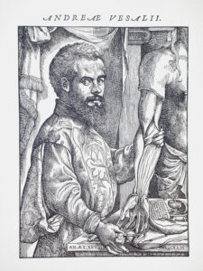 A woodcut of the anatomist Andreas Vesalius dissecting a hand