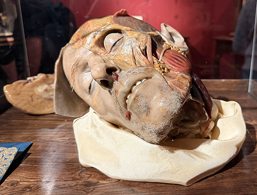Wax Head Feature Image